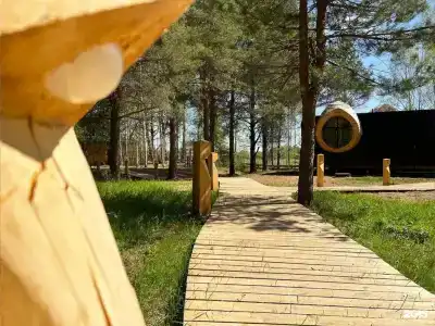Кедр Глэмп - 167