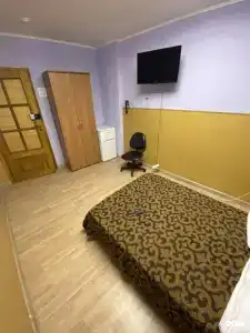 Пилот - 1