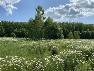 Ягодное - 53