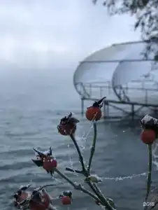 Южный Причал - 26