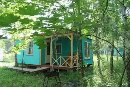 Лесной сон - 89