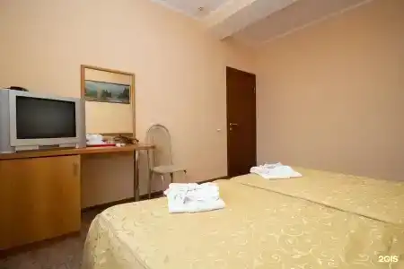 Аист - 110