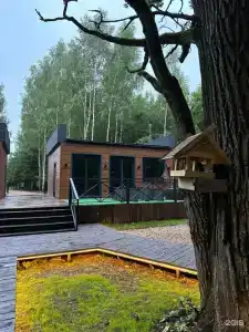 Старый дуб - 49