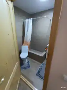 Эвкалипт - 67