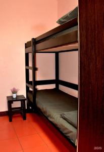 Вежливый Лось на Ботаническом саду - 50