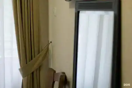 Пальма - 37
