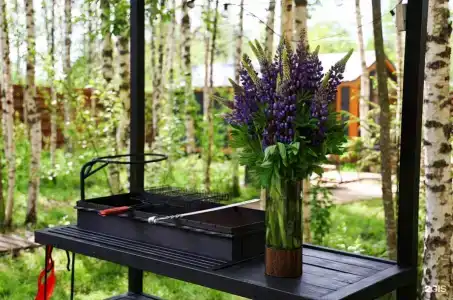 Барские поля - 271