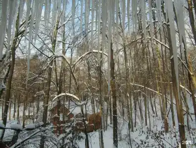 Октава - 3