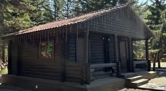 Лесс - 60