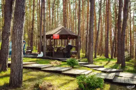 Донской лес - 26