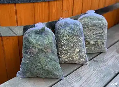 БарныЧаны - 25