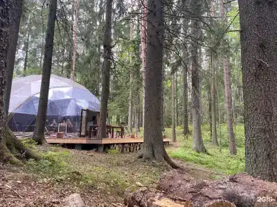 Villy Uley Karelia (Вили Улей Карелия) - 5