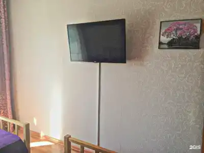 Панда на Батурина 5д - 43