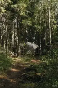 Villy Uley Karelia (Вили Улей Карелия) - 10