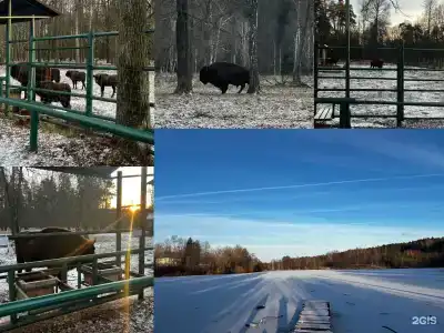 ЕСО-местечко в Данках - 20