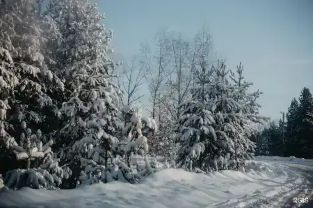 Волга - 11