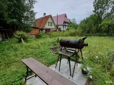 Олта - 13