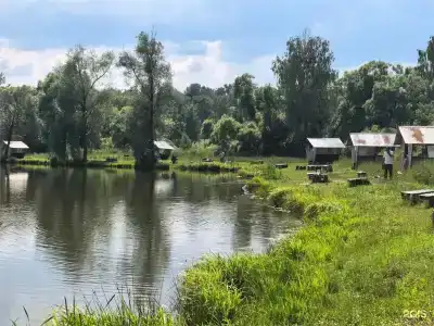 МестоКлёва - 176