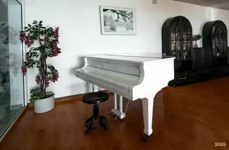Асса - 7