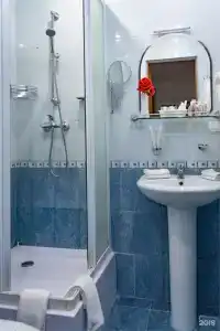 Десна - 265