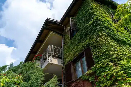 Одиссея Wellness Resort - 193