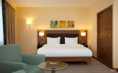 Hilton Garden Inn Ufa Riverside - 14