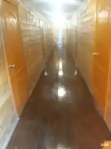 Катрин - 12