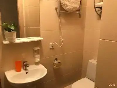 Крокус Стар - 89