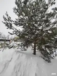 Постоялый Двор - 9
