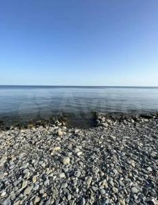 Лаванда - 108