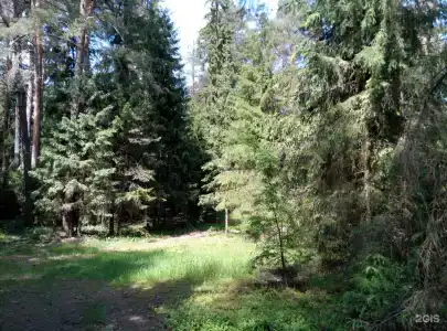 Гостевой дом на Волге в Соболево - 25