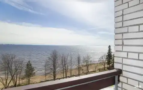 Репинская - 80