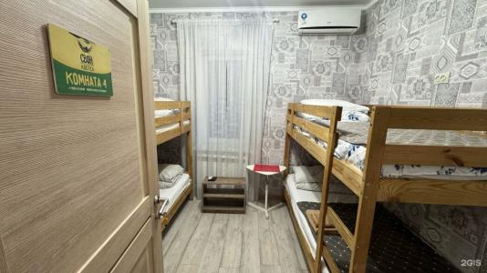 Свои - 259