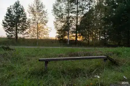 Пруды и сосны - 98