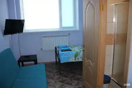 Медведь - 14