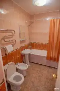 Ока - 132