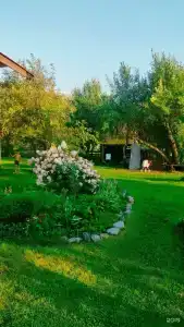 Яблоневый сад - 85