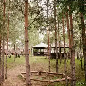 Лесная гавань - 8