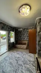 Дельфин - 5