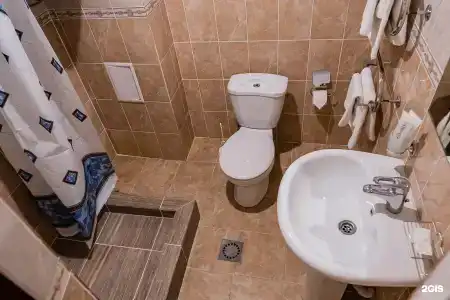 Кипарис - 143