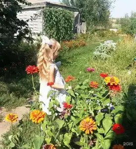 Добрый Дом - 4