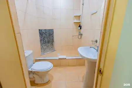 Рамина - 100