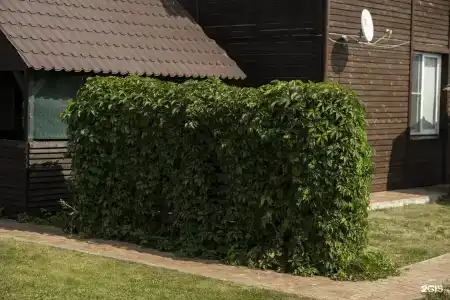 Арнеево - 7