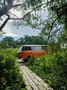 Hippy - 61