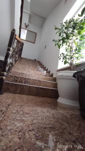 Art House - 12