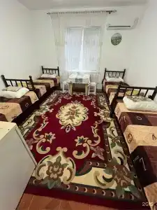 Березка - 149