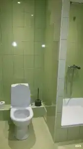 Стрекоза - 10