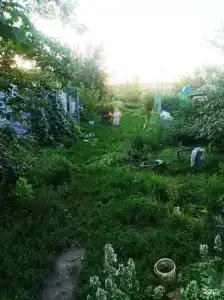 Добрый Дом - 10