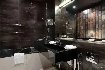 Radisson Sonya - 101