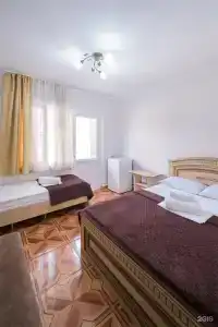 Киви и Цитрус - 94